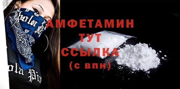 винт Алзамай