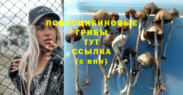 винт Алзамай