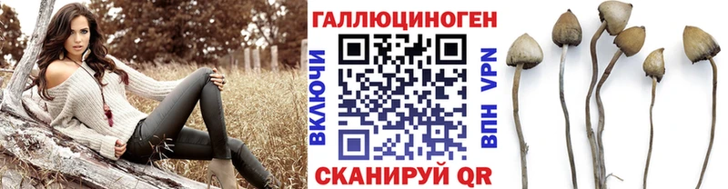 Псилоцибиновые грибы мицелий  купить закладку  Юрьевец 